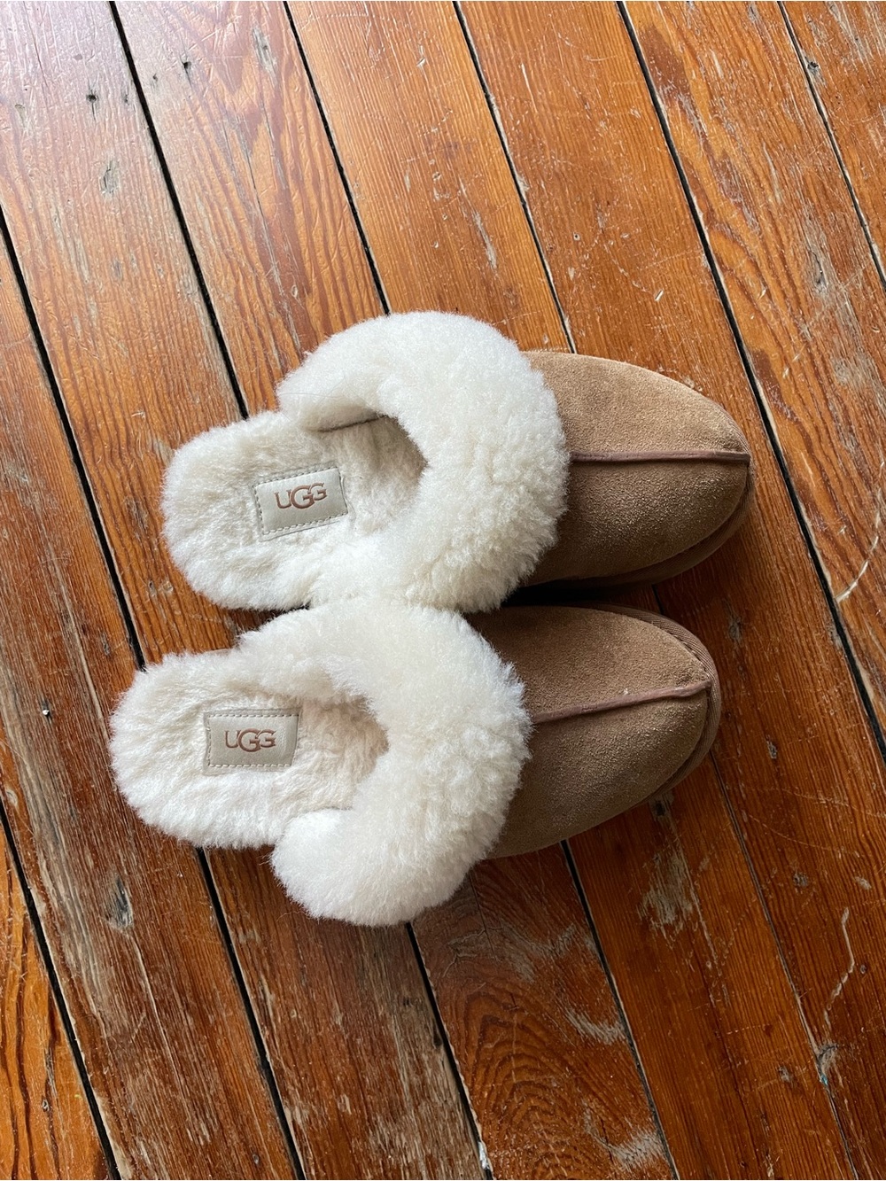 UGG Women's Suede Shearling platform Slippers - Chestnut with Cream Collar